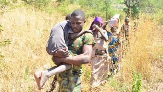 Trouble in terrorists' paradise as ISWAP kidnaps dozens of Boko Haram women