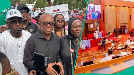 Senate to hold emergency session on electoral law amendment after Peter Obi-led protest