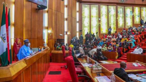 List of 5 newly appointed ICPC commissioners as Senate gives confirmation