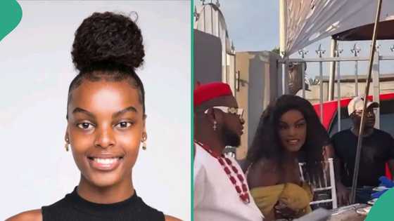 Miss SA: Chidinma Adetshina’s trad wedding video emerges, South Africans react, “Illegal foreigner”