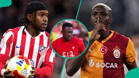 Akor Adams speaks about Osimhen's Galatasaray move amid comparison to Lookman’s La Liga deal