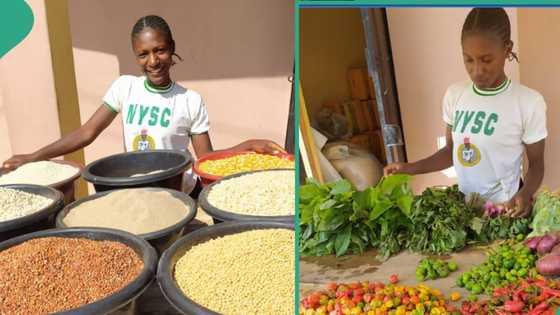 NYSC called me: Lady who used her NYSC stipends to start food business becomes highly successful