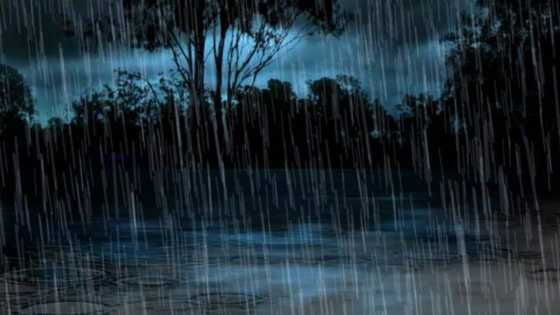 Tabbatar da tsaro: Abubuwa 9 da ya kamata a kiyaye yayin tukin mota cikin ruwan sama - FRSC