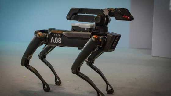 Domin magance matsalar tsaro, Najeriya za ta fara amfani da 'Robot' wajen yakar tsageru