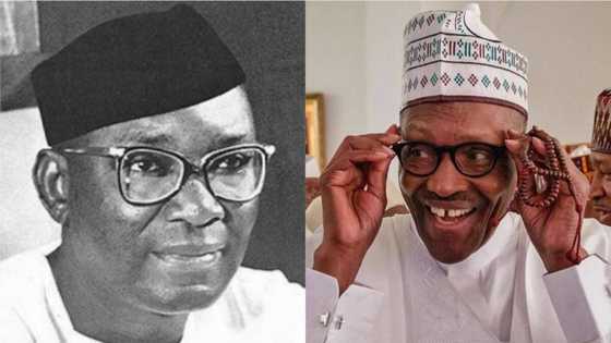 Nigerians more attracted to Buhari than Awolowo, Nnamdi Azikiwe, others