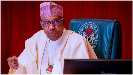 2023: Critics won’t realise Mr. President is a blessing to Nigeria until he leaves office, Buhari's minister