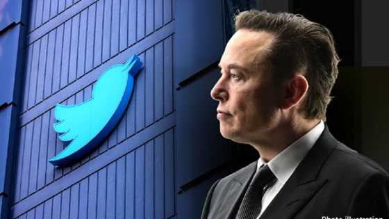 Elon Musk: Za Mu Dawo Da Shafukan Mutanen Da Aka Toshe A Twitter