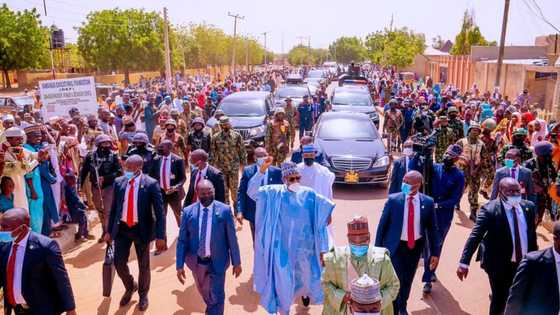 Eid-el-Kabir: Brave Buhari treks home in Katsina after prayers, photo, video emerge