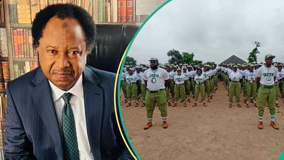 “This fake is a good fake”: Shehu Sani reacts to NYSC statement on paying corps members N70,000