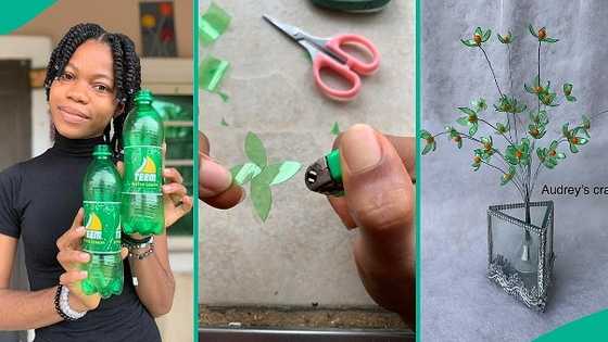Talented girl displays fine flower vase made from waste plastic bottles, photos go viral