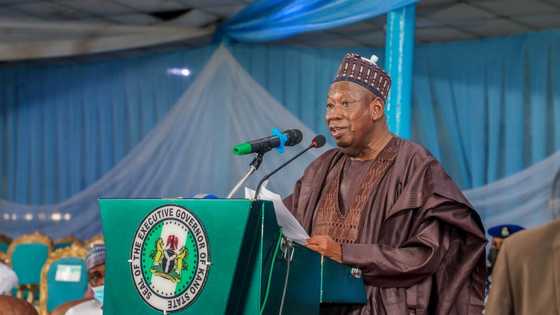 Northern governor cries out, condemns parents forcing children into street begging