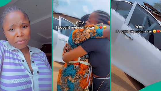 Young lady selling agbo buys brand new car for mother, shares how people reacted to her business