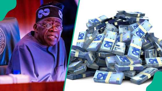 Nigeria's federation account hits N23trn in 10 months, RMAFC declares