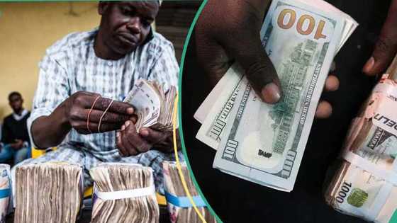 Naira takes big hit against dollar as currency speculators push back last week's gains