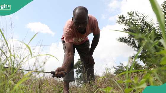 Local farmer murdered in cold blood while plucking fruit in Ebonyi