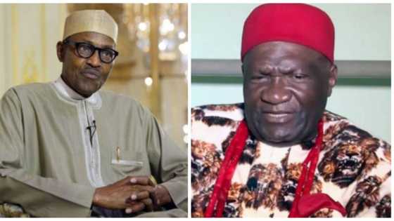 Idan dan kabilar Igbo ya zama shugaban kasa a 2023 za a ga canji - Ohanaeze Ndigbo