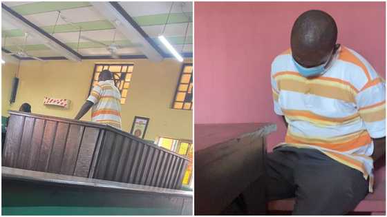 Bamise’s murder: BRT driver sent to prison for 30 days, court gives reason