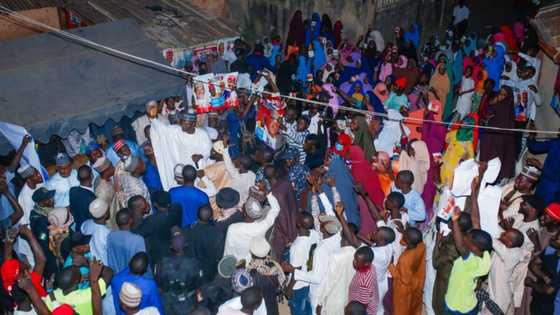 2023: Mailantarki receives thousands of Gwamna's supporters into NNPP in Gombe