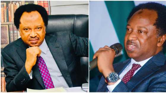 “Fanatical political agenda should have no place”: Shehu Sani mocks unconfirmed ministerial nominee