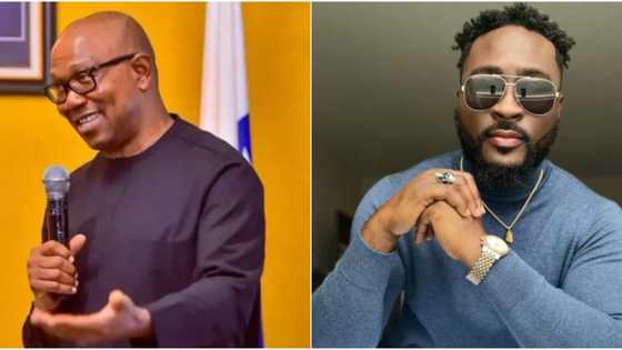 Follow your sugar mummy in peace: Nigerians slam BBNaija's Pere over hilarious remarks about Peter Obi's party