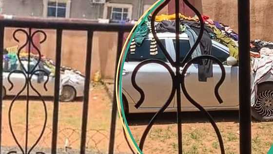 After buying new car, man wakes up to see neighbour's children spreading clothes on it, video trends