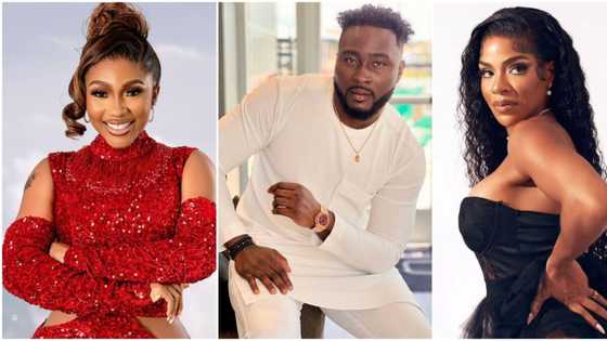 BBNaija All-Stars: Pere, Mercy, Venita, 4 other housemates who have gotten strikes this season