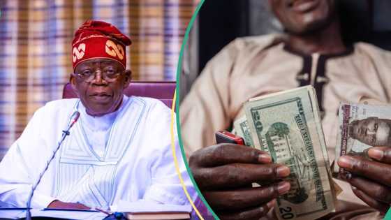 N1,500/$: FG moves to boost naira’s value in foreign exchange markets