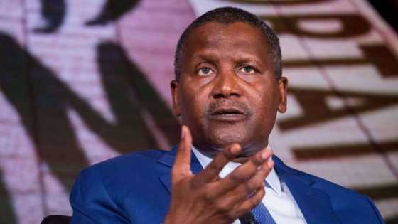Yadda Attajirin Duniya Aliko Dangote ya tafka asarar Naira Biliyan 350 a kwana 1