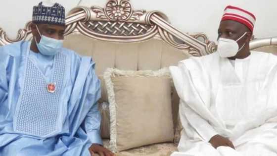 PDP: Ana musayar yawu tsakanin Rabiu Kwankwaso da Aminu Tambuwal