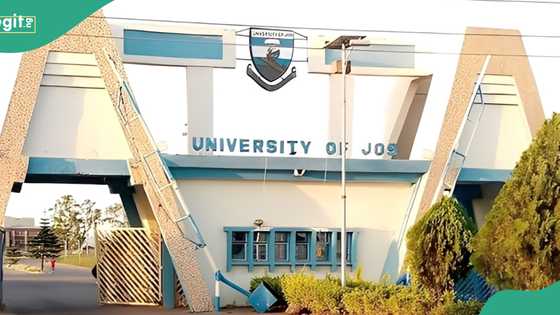 Tragedy as UniJos student allegedly kills, buries colleague in shallow grave