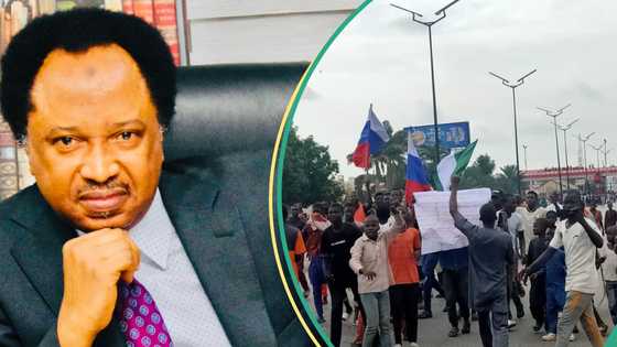 “The new dimension”: Shehu Sani discloses what was given to northern protesters before demonstration