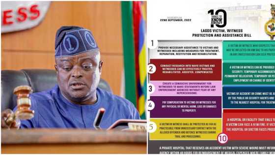 10 things to know about Lagos New Victim, Witness Protection and Assistance Bill