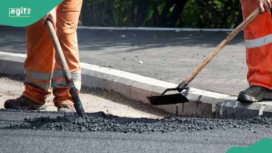 An kwace kwangilar hanyar da ta haɗa Arewa da kudu a hannun Dantata da wasu kamfanoni