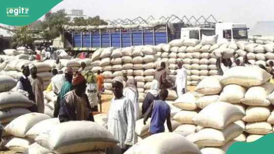 Abu ya lalace: Maza sun fara guduwa suna barin gidajensu saboda tsadar rayuwa a jihar Arewa