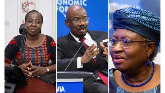 Top Nigerian businessmen and women given National Awards by Buhari