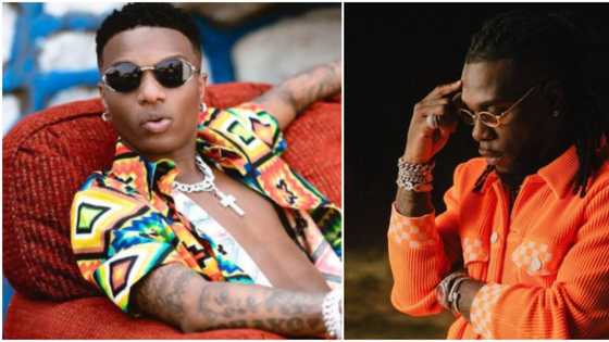 Their Oga dey live life: Hilarious reactions as Burna Boy and Wizkid are spotted together in studio