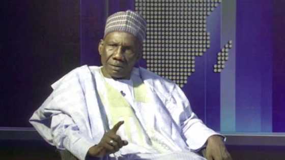 Baya da Maiduguri, babu inda ke da tsaro a cikin jihar Borno, Farfesa Dikwa