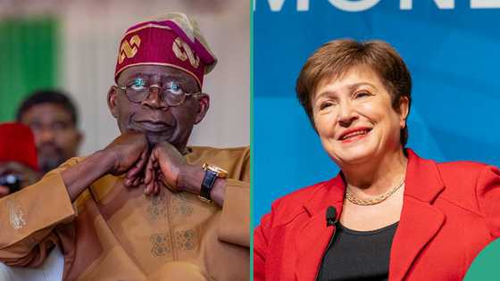 IMF releases new list of countries with lowest debt in Africa, Nigeria absent