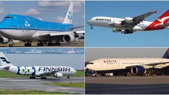 These are the most lucrative route for airlines in Africa, Nigeria airports miss out from top 10