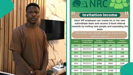 NRC crash: Website developer shares how one question he asked saved him from investing in scheme