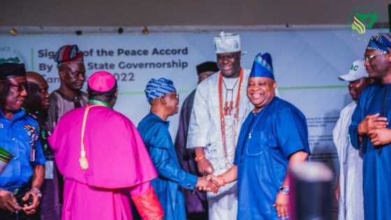 Osun governorship election: The battleground states, comfort zones; how Oyetola and Adeleke stand across LGAs
