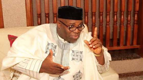 Insecurity: GEJ's former aide Okupe warns of impending disaster, identifies signs
