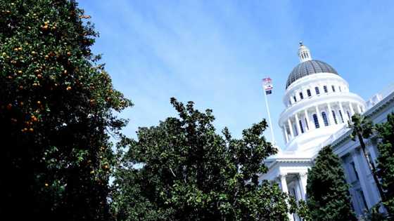 California looks to Europe to rein in AI