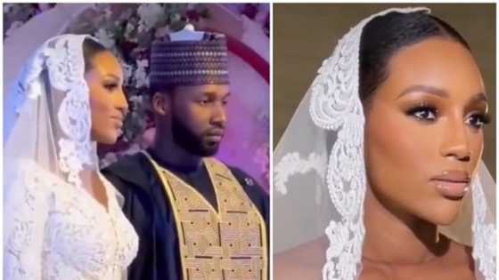 Biki Ake Na Manya: Bidiyoyi Daga Shagalin Bikin Fatima Shettima Da Angonta Sadiq Bunu