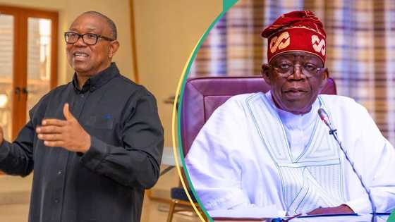 Plateau killings: Peter Obi urges Tinubu to return to Nigeria, tells him action to take