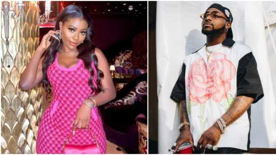 “Never seen a cat take rubbish from a dog”: Davido’s baby mama shares cryptic post after unfollowing singer