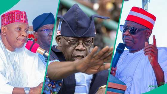 Battle for Kano: Powerful forces reportedly behind Gov Yusuf’s defection plot uncovered