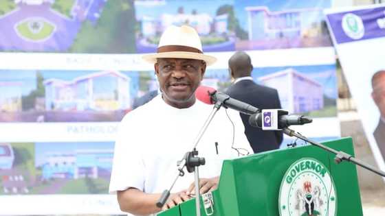 Governor Wike says ban on open grazing will soon get legal backing