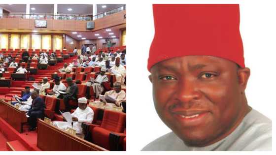 4 things I’ll do in 10th National Assembly, popular southeast senator-elect speaks