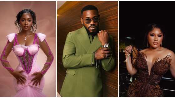Crystal dreams on the red carpet: Celebs dazzle in Swarovski at AMVCA 2025